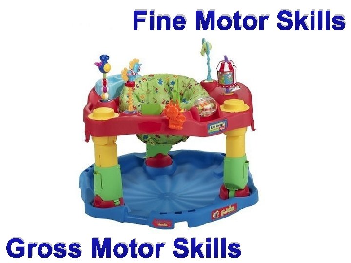 Fine Motor Skills Gross Motor Skills 