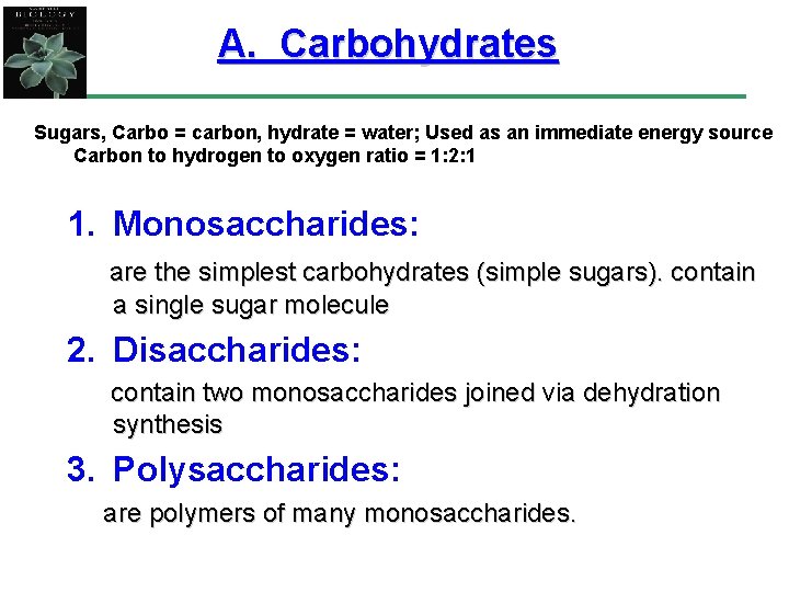 A. Carbohydrates Sugars, Carbo = carbon, hydrate = water; Used as an immediate energy