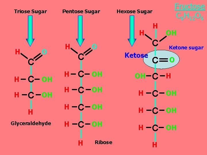 Triose Sugar Pentose Sugar Hexose Sugar H H O H C H H C