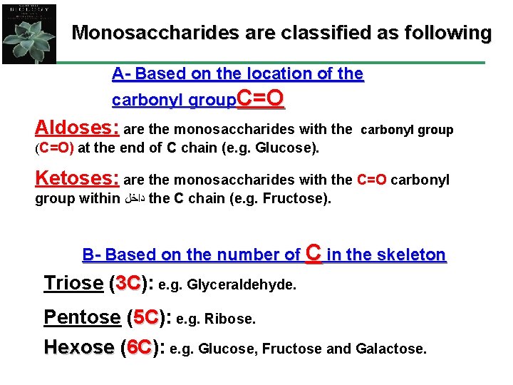 Monosaccharides are classified as following A- Based on the location of the carbonyl group.