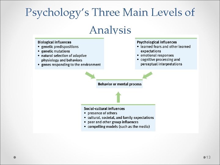 Psychology’s Three Main Levels of Analysis 13 
