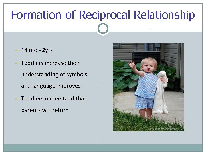 Formation of Reciprocal Relationship • 18 mo - 2 yrs • Toddlers increase their