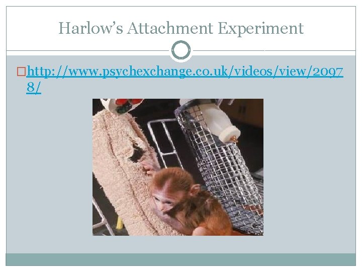 Harlow’s Attachment Experiment �http: //www. psychexchange. co. uk/videos/view/2097 8/ 