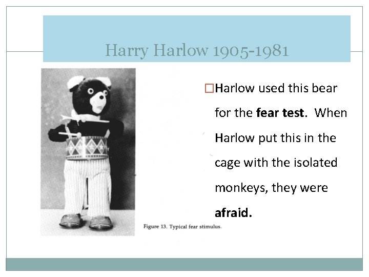 Harry Harlow 1905 -1981 �Harlow used this bear for the fear test. When Harlow