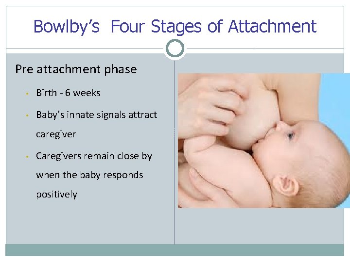 Bowlby’s Four Stages of Attachment Pre attachment phase • Birth - 6 weeks •