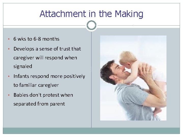 Attachment in the Making • 6 wks to 6 -8 months • Develops a