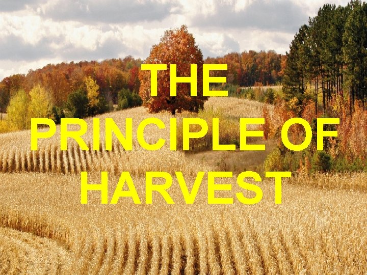 THE PRINCIPLE OF HARVEST 