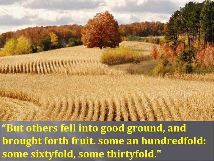 “But others fell into good ground, and brought forth fruit. some an hundredfold: some