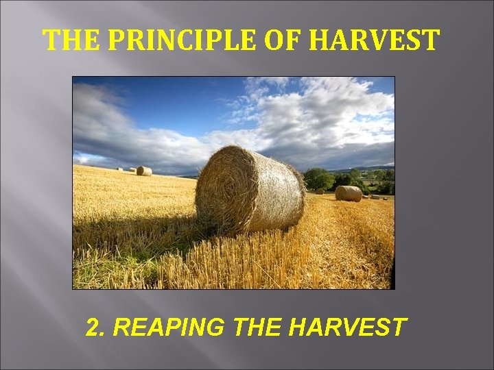 THE PRINCIPLE OF HARVEST 2. REAPING THE HARVEST 