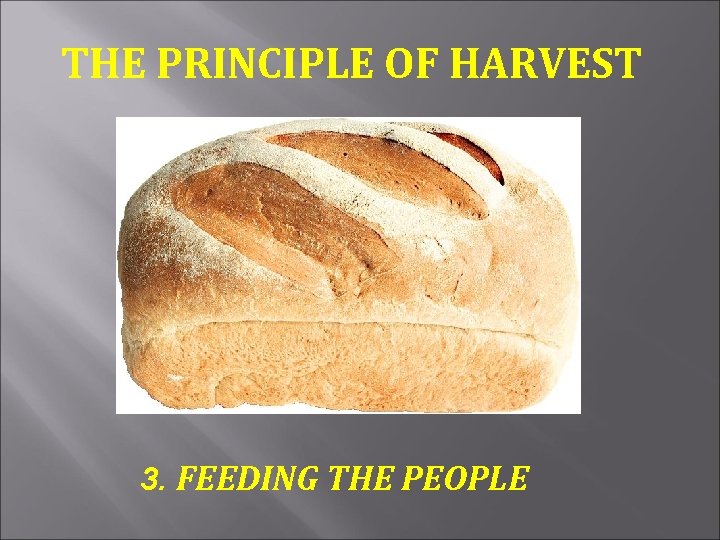 THE PRINCIPLE OF HARVEST 3. FEEDING THE PEOPLE 