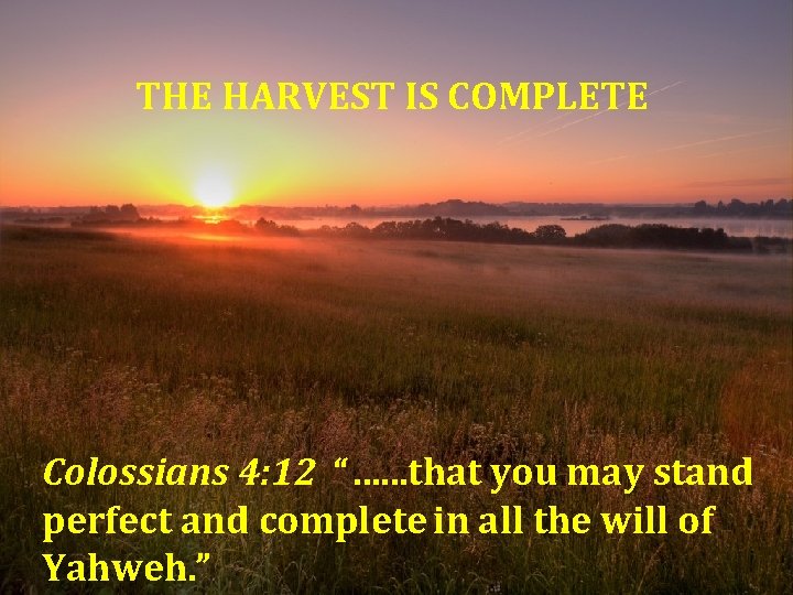 THE HARVEST IS COMPLETE Colossians 4: 12 “…. . . that you may stand