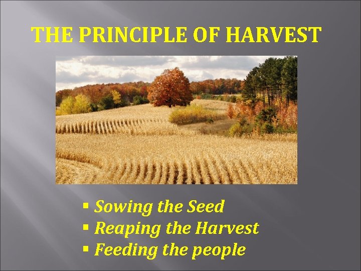 THE PRINCIPLE OF HARVEST § Sowing the Seed § Reaping the Harvest § Feeding