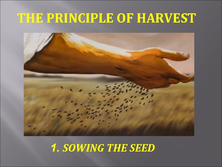 THE PRINCIPLE OF HARVEST 1. SOWING THE SEED 