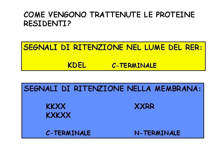 COME VENGONO TRATTENUTE LE PROTEINE RESIDENTI? SEGNALI DI RITENZIONE NEL LUME DEL RER: KDEL