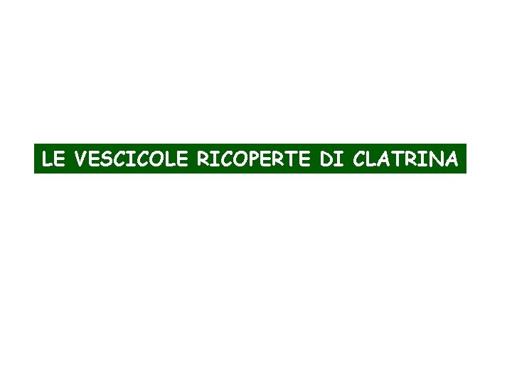 LE VESCICOLE RICOPERTE DI CLATRINA 
