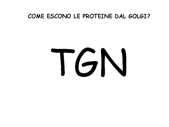 COME ESCONO LE PROTEINE DAL GOLGI? TGN 