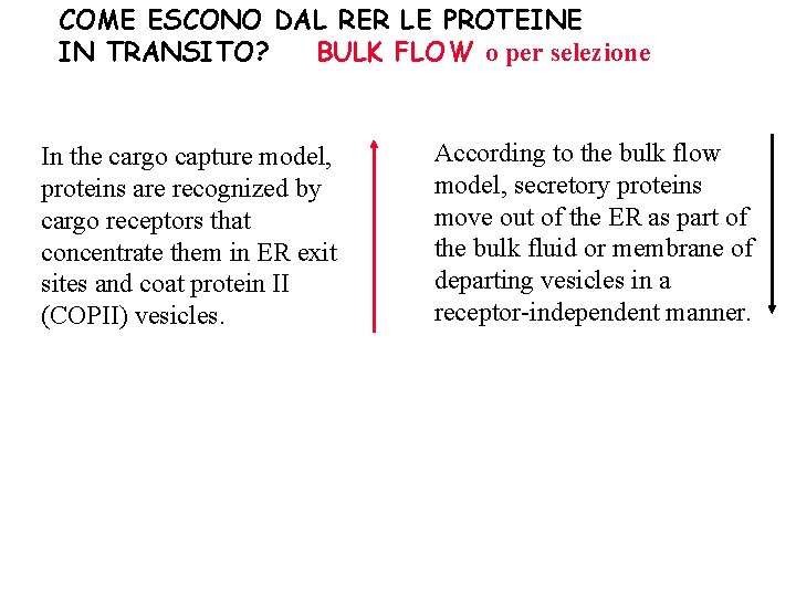 COME ESCONO DAL RER LE PROTEINE IN TRANSITO? BULK FLOW o per selezione In