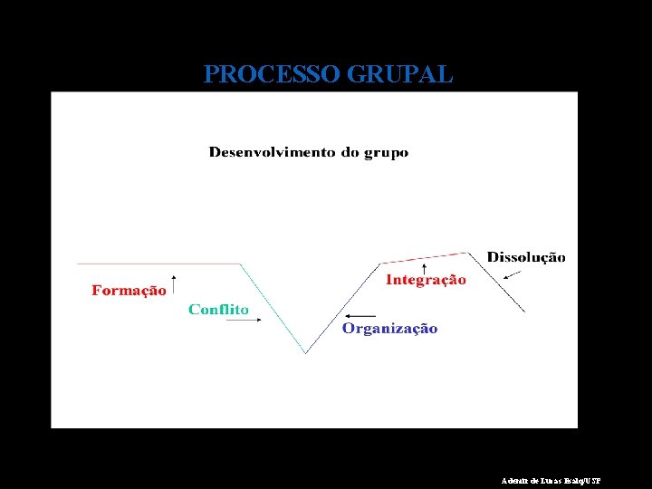 PROCESSO GRUPAL Ademir de Lucas Esalq/USP 