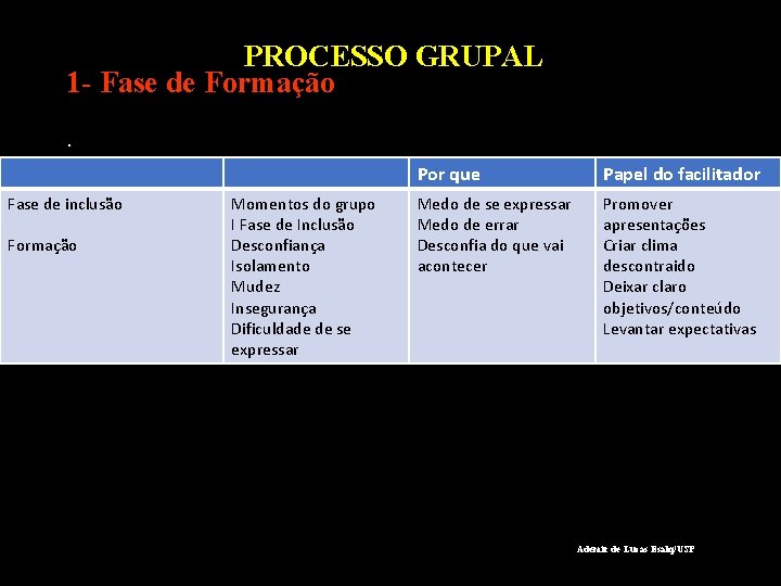 PROCESSO GRUPAL 1 - Fase de Formação. Fase de inclusão Formação Momentos do grupo