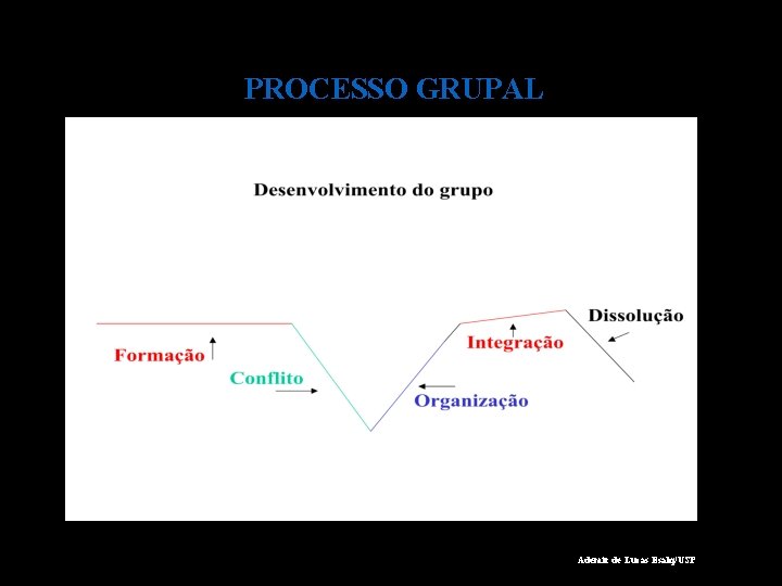 PROCESSO GRUPAL Ademir de Lucas Esalq/USP 