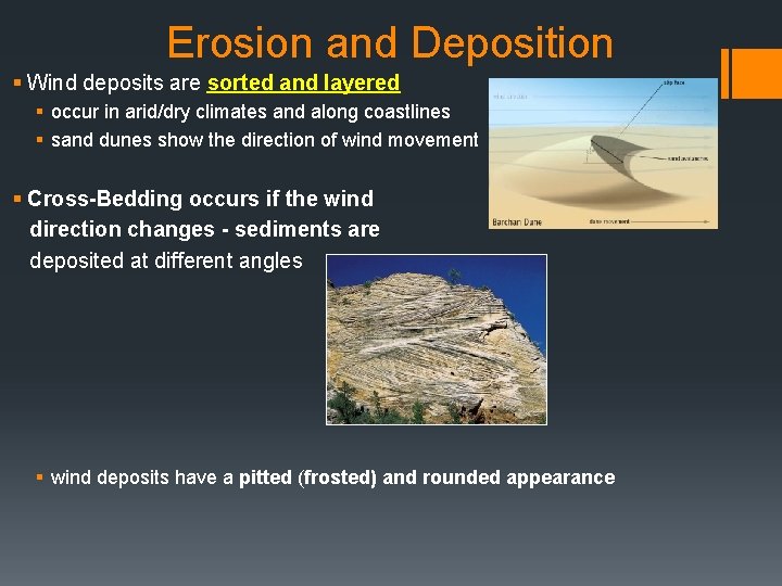Erosion and Deposition § Wind deposits are sorted and layered § occur in arid/dry