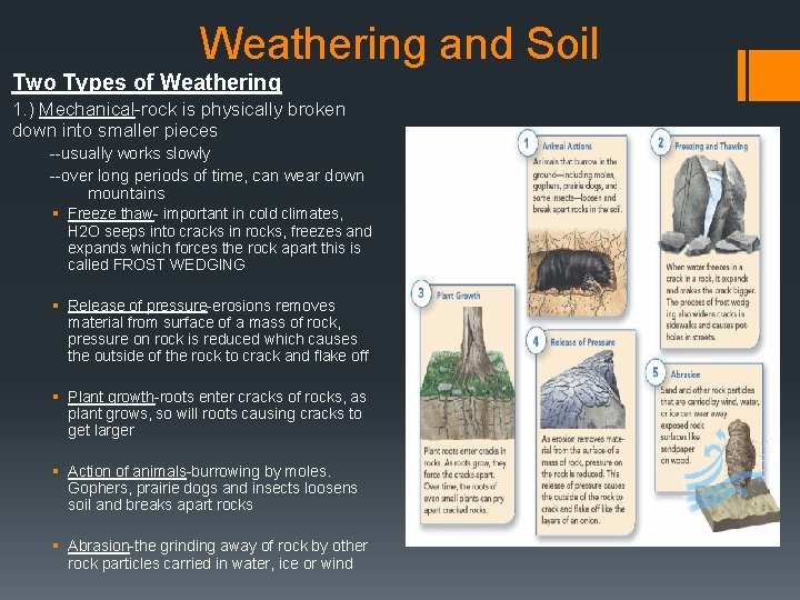 Weathering and Soil Two Types of Weathering 1. ) Mechanical-rock is physically broken down