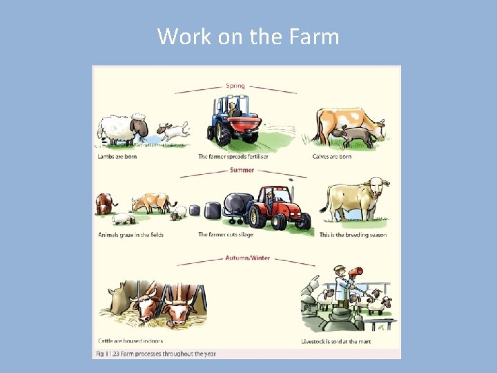 Work on the Farm 