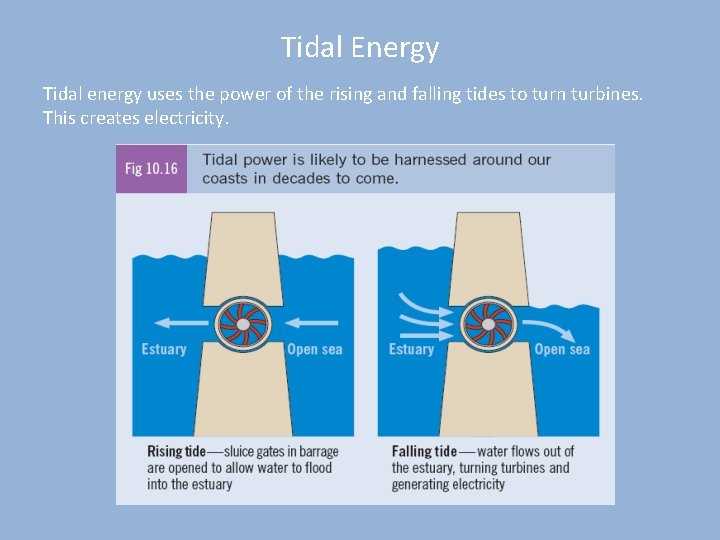 Tidal Energy Tidal energy uses the power of the rising and falling tides to