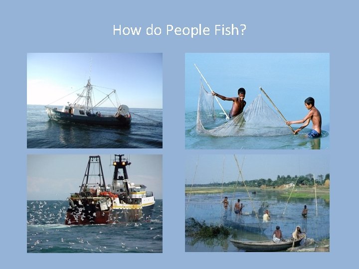 How do People Fish? 