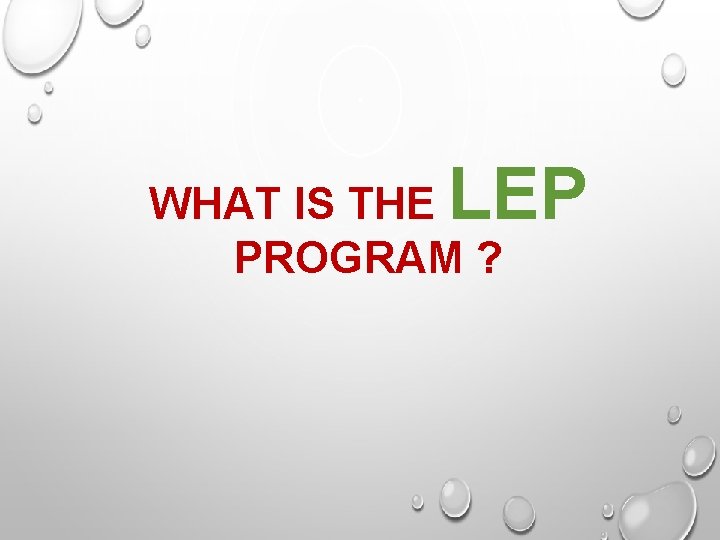 LEP WHAT IS THE PROGRAM ? 