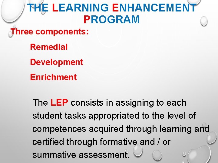 THE LEARNING ENHANCEMENT PROGRAM Three components: Remedial Development Enrichment The LEP consists in assigning