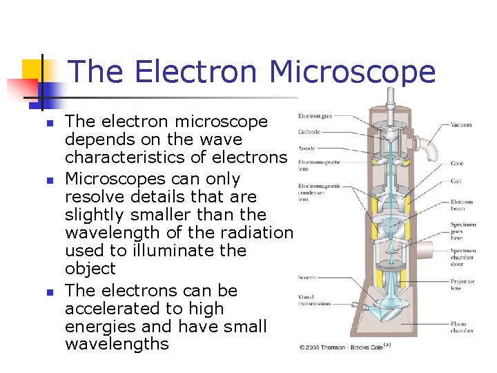 The Electron Microscope n n n The electron microscope depends on the wave characteristics