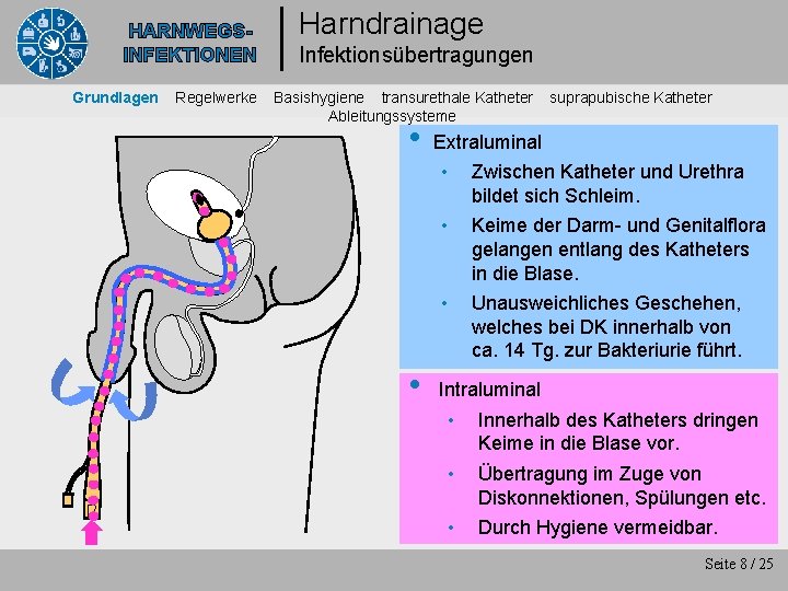 HARNWEGSINFEKTIONEN Grundlagen Regelwerke Harndrainage Infektionsübertragungen Basishygiene transurethale Katheter Ableitungssysteme • • suprapubische Katheter Extraluminal