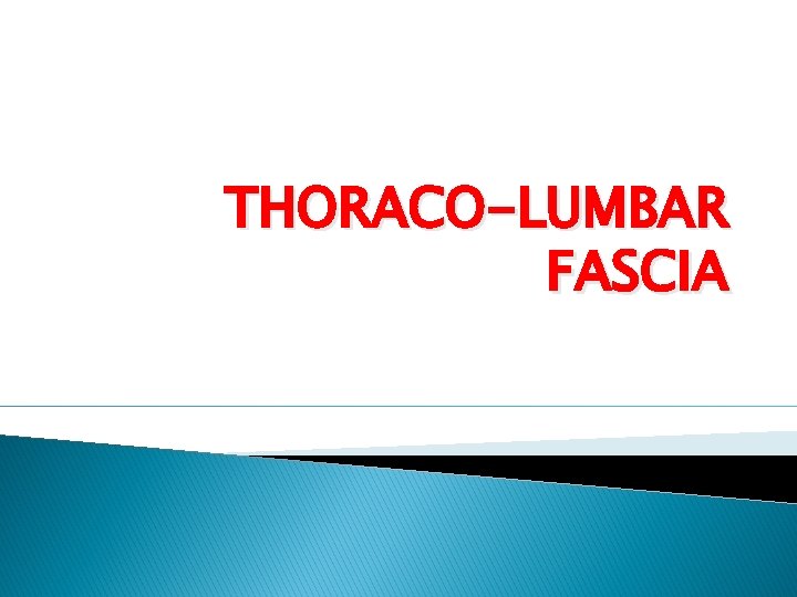 THORACO-LUMBAR FASCIA 