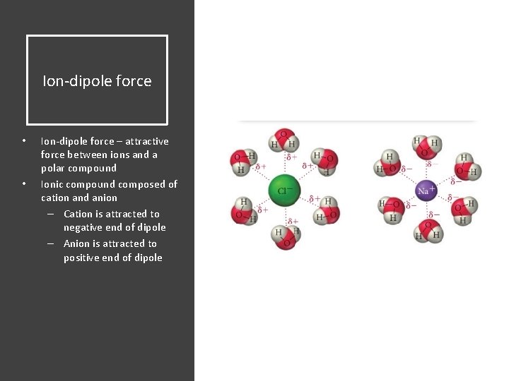 Ion-dipole force • • Ion-dipole force – attractive force between ions and a polar