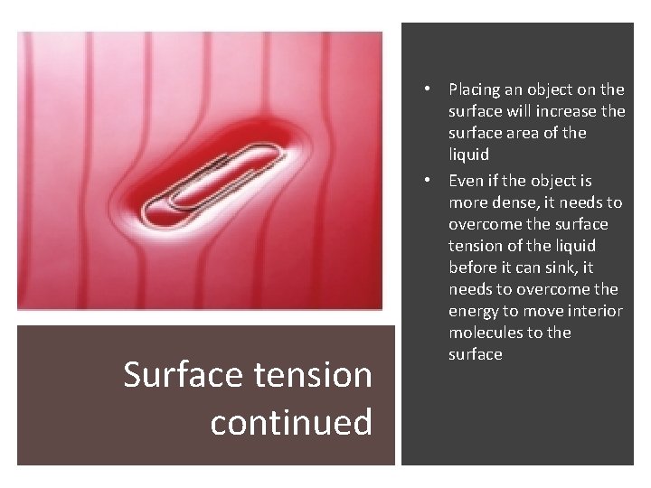 Surface tension continued • Placing an object on the surface will increase the surface