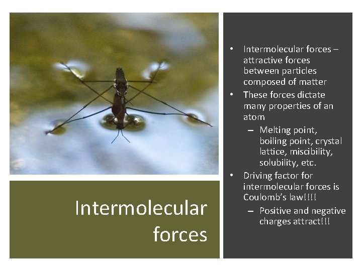 Intermolecular forces • Intermolecular forces – attractive forces between particles composed of matter •