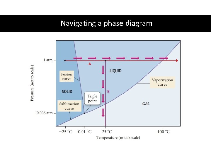 Navigating a phase diagram 