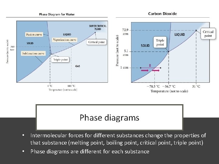 Phase diagrams • Intermolecular forces for different substances change the properties of that substance
