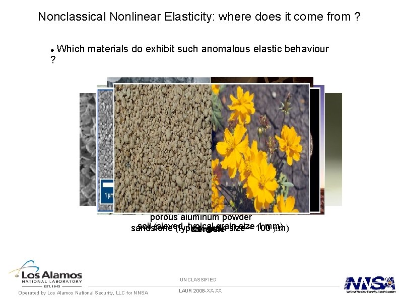 Nonclassical Nonlinear Elasticity: where does it come from ? ? Which materials do exhibit