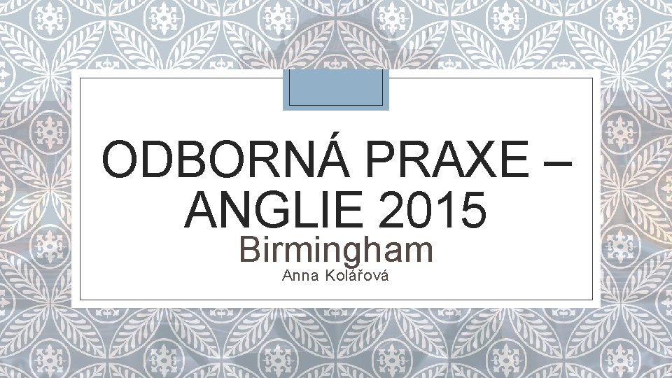 ODBORNÁ PRAXE – ANGLIE 2015 Birmingham Anna Kolářová 