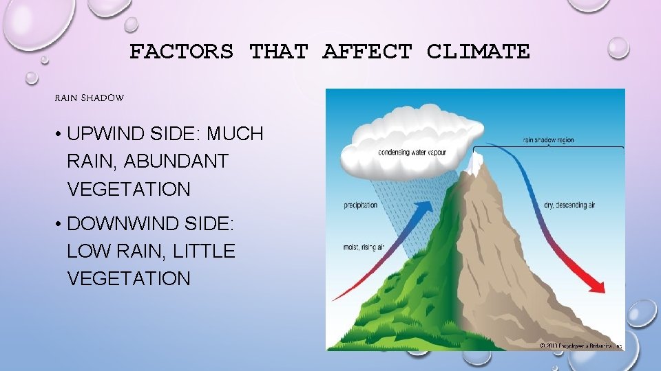 FACTORS THAT AFFECT CLIMATE RAIN SHADOW • UPWIND SIDE: MUCH RAIN, ABUNDANT VEGETATION •