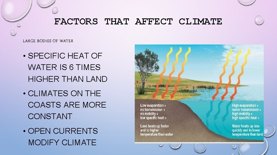 FACTORS THAT AFFECT CLIMATE LARGE BODIES OF WATER • SPECIFIC HEAT OF WATER IS