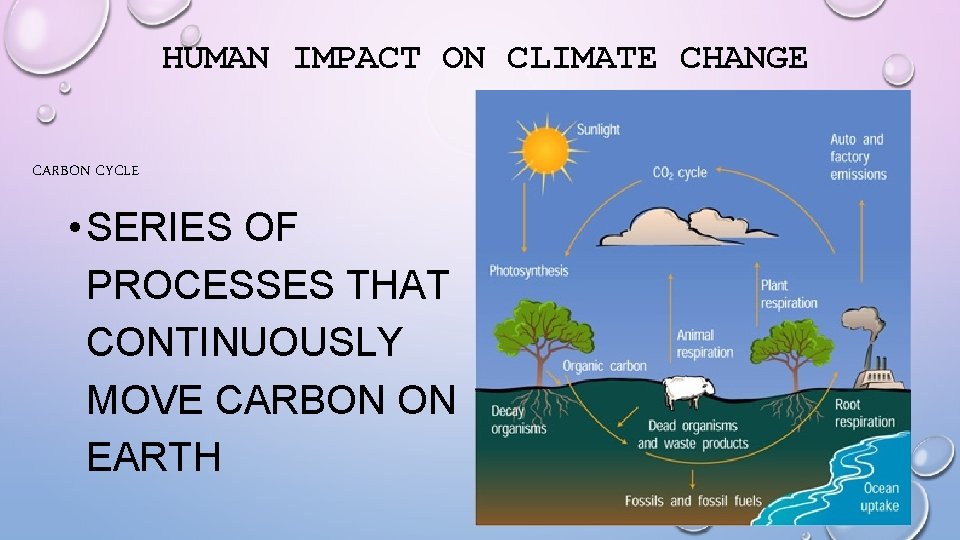 HUMAN IMPACT ON CLIMATE CHANGE CARBON CYCLE • SERIES OF PROCESSES THAT CONTINUOUSLY MOVE