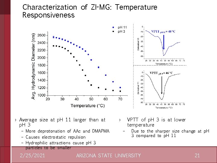 Characterization of ZI-MG: Temperature Responsiveness › Average size at p. H 11 larger than