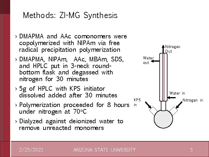 Methods: ZI-MG Synthesis › DMAPMA and AAc comonomers were copolymerized with NIPAm via free