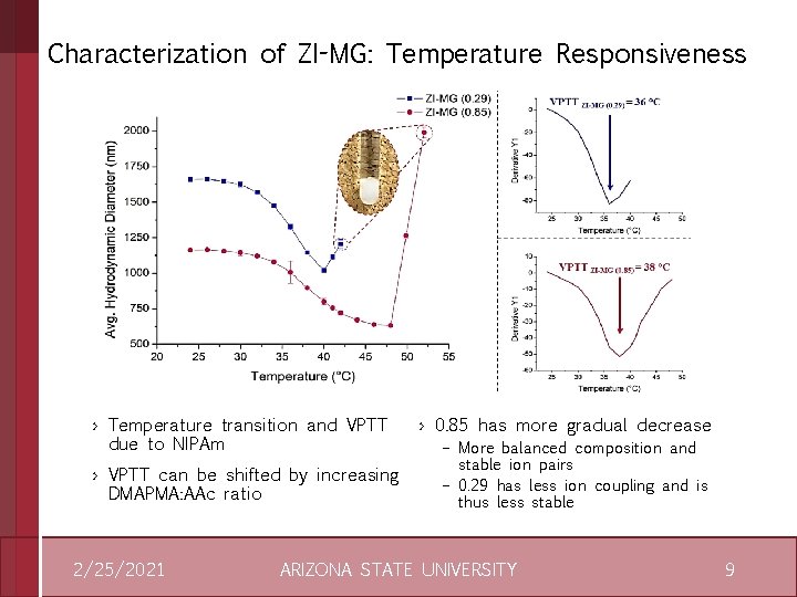 Characterization of ZI-MG: Temperature Responsiveness › Temperature transition and VPTT due to NIPAm ›