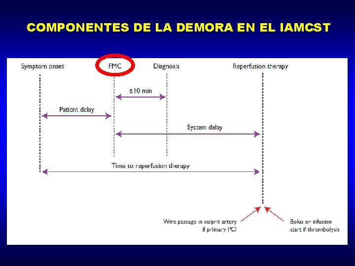 COMPONENTES DE LA DEMORA EN EL IAMCST 