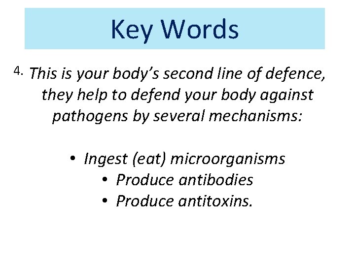 Key Words 4. This is your body’s second line of defence, they help to Key Words 4. This is your body’s second line of defence, they help to