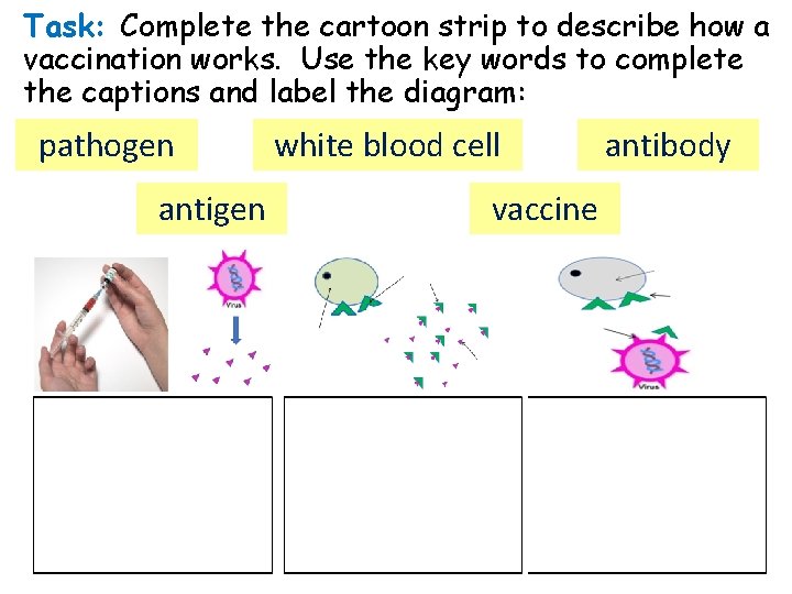 Task: Complete the cartoon strip to describe how a vaccination works. Use the key Task: Complete the cartoon strip to describe how a vaccination works. Use the key